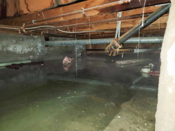 Best Water damage restoration process  in Mckinley, PA