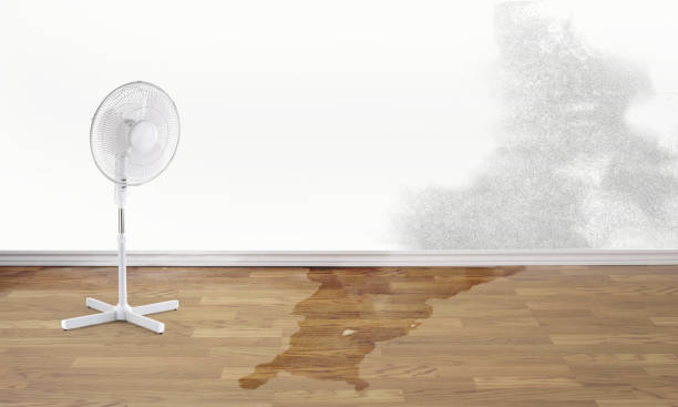 Best Water damage restoration process  in Mckinley, PA