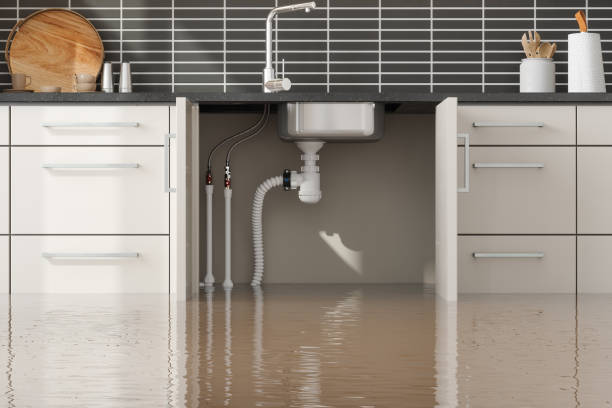 Best Fire Damage Restoration  in Mckinley, PA