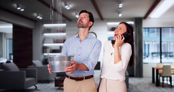 Best Water damage repair service  in Mckinley, PA
