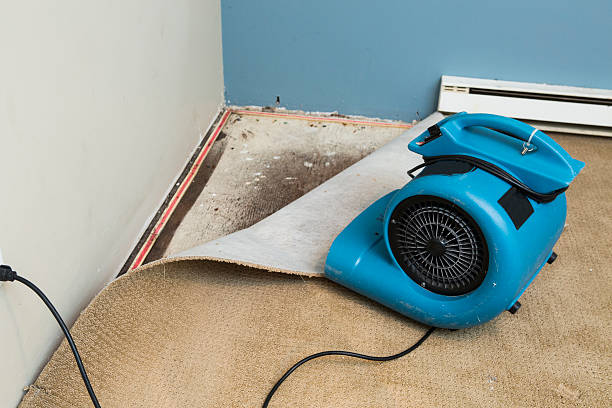 Best Flooded house restoration  in Mckinley, PA
